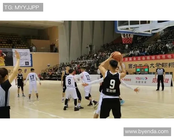 西安篮球队在比赛经验排名中创下新高展现团队实力与潜力